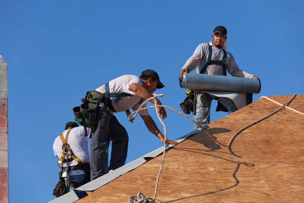 Best Roof Maintenance Services  in Germantown Hls, IL