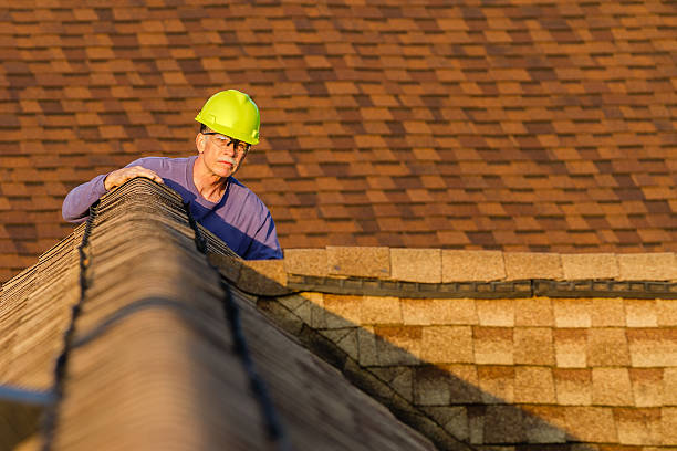 Best Roof Gutter Cleaning  in Germantown Hls, IL